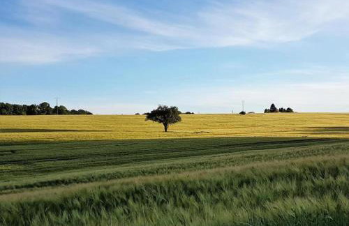 Cottage in Chaleix near Forest & Lake - Foto 37