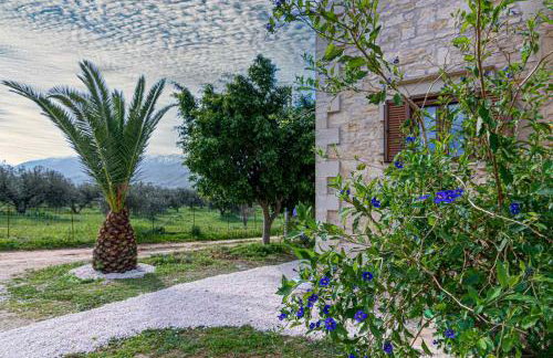 Stone villa Halepa panoramic view, private pool,big garden & quiet - Foto 51