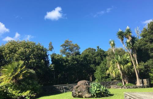 Casa do Pombal - Photo 6