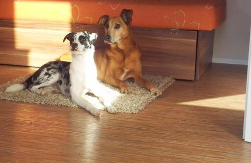 Tonis Hütte - Foto 11