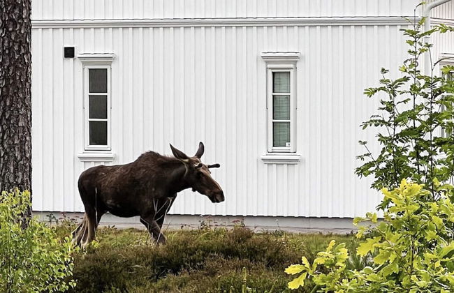 5 Star Holiday Home in Engelsviken - Foto 25