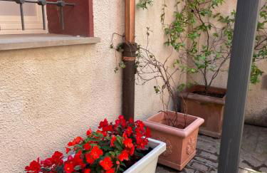 Via Braschi Sessantotto - Foto 22