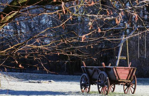 Forsthof Niendorf - Foto 74