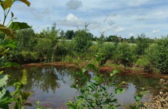 Agroturystyka Zielony Domek - Apartament na wyłączność, slow life, staw, oswojone zwierzęta gospodarskie, posiłki z własnych eko produktów - Foto 1