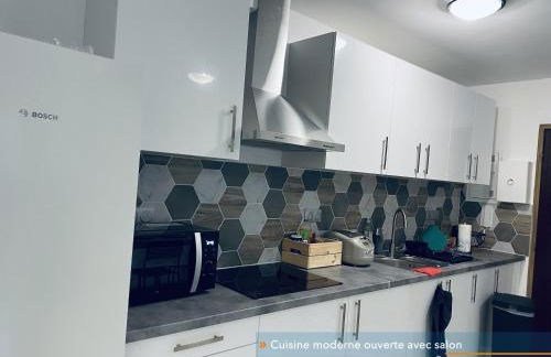 Appartement parisien neuf, moderne avec une grande salon, 2 chambres, 3 lits, parking gratuit, 15min de Paris et 13 min aéroport Orly - Foto 2