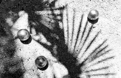 Le Clos des Mûriers - Foto 19