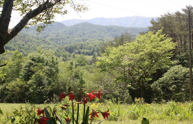 Peace Of Paradise 2 Bedroom Home by RedAwning - Foto 42