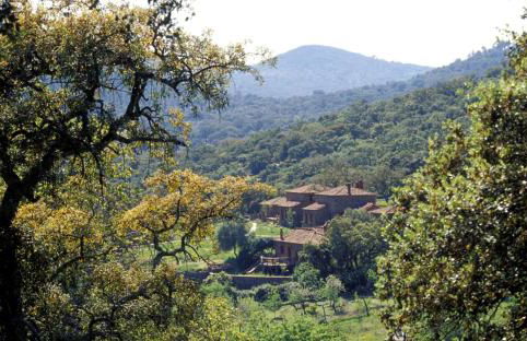 Molino Rio Alajar - Foto 13