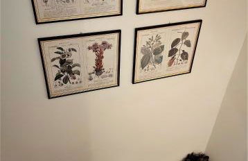 Castle Rooms - Foto 56