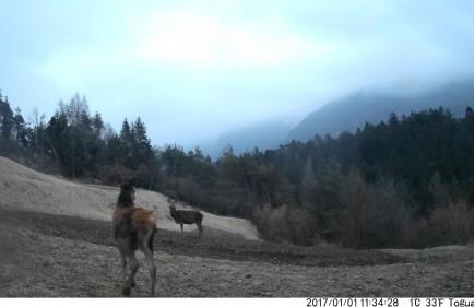 AGRITURISMO BORGO DAMOS - Foto 39