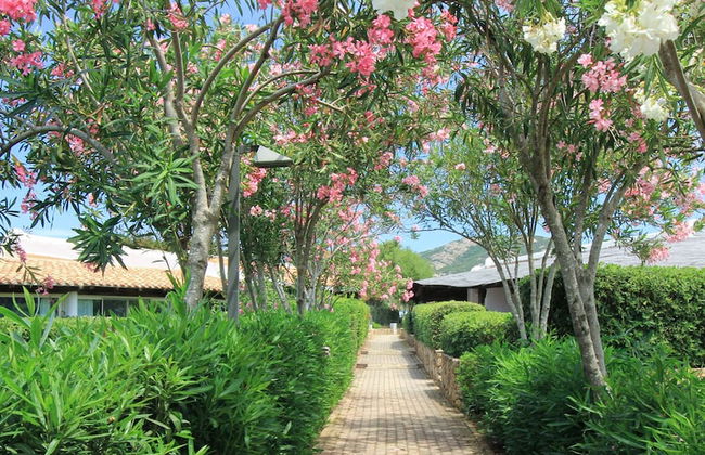 Capo Ceraso Family Residence - Photo 76