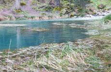 El Almendro De La Tia Teresa - Foto 6