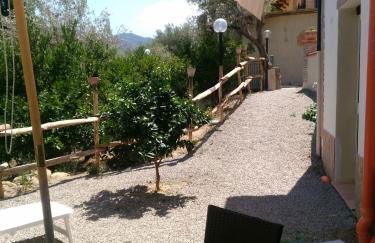 L'Uliveto - Foto 113