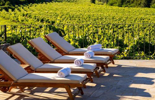 Quinta de Cypriano - Wine & Nature - Foto 12