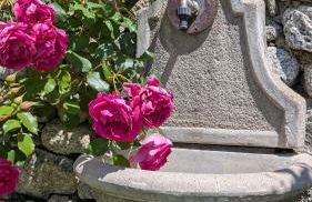 Borgo Selvapiana - Photo 59