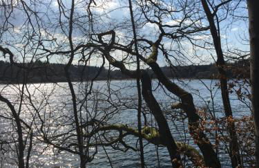 Ferienwohnung am Wald - Foto 47