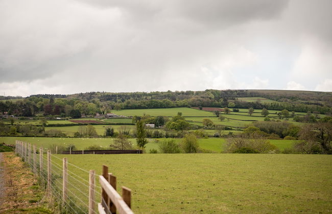 Aldwick Estate - Foto 17