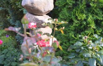 Ferienhof Blunck - Foto 4