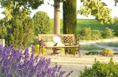 Ferienwohnung Appartement Bad Bergzabern mit Schwimmbad und Sauna - Foto 21