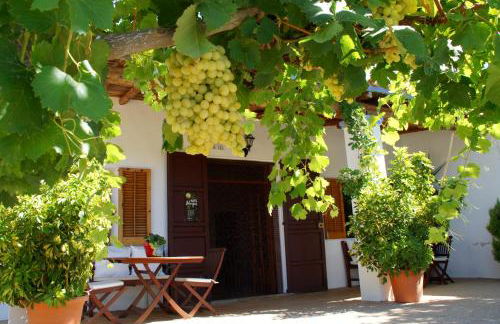 Agroturismo Sa Vinya d'en Palerm - Foto 61