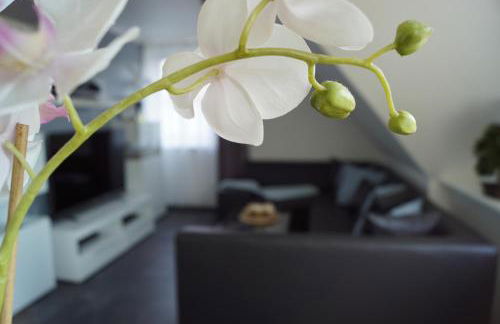 La Domus Premium Osnabrück Lotte - Foto 1