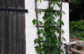 Ferienhaus Rachelblick - Foto 24