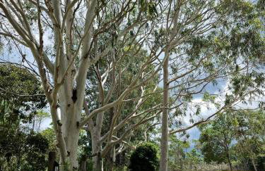 Casa das Hortênsias - Foto 20