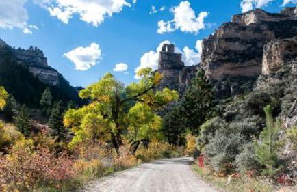 Cozy Cabin Perfect for a Romantic Escape with BBQ in Dayton, Wyoming - Foto 7