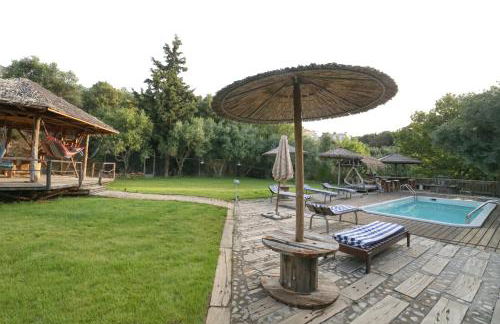 Captain Ikaros - Foto 72