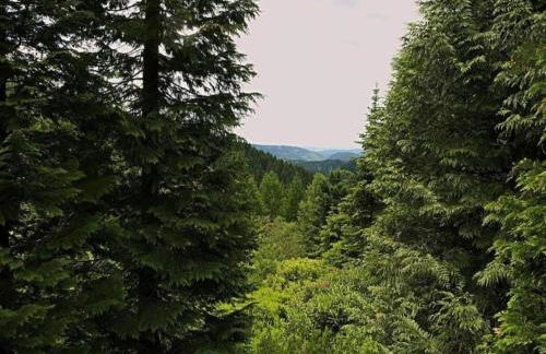 Charming Forest Escape for Two - Foto 52