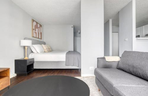 Streeterville Studio w Gym Pool nr Navy Pier CHI-448 - Photo 17