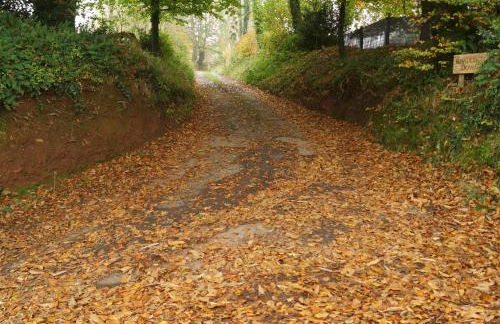 Buzzards Retreat - Foto 24