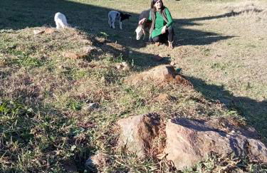 Alojamento Local - Casa Amarela - Foto 32