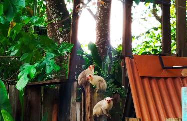 Casinha Aconchegante em Alter do Chão 2min da ilha - Foto 6