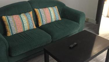 Le coin des Halles dans le vignoble de Bourgueil - Foto 3