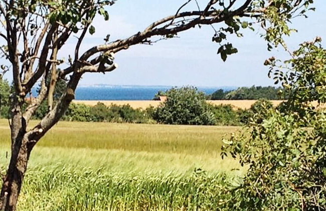 Pet Friendly Holiday Home in Bogense with Hot Tub - Foto 13