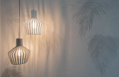 Fiori di Cardo - Agrimare - Foto 29