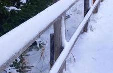 Haus am Park - Foto 7