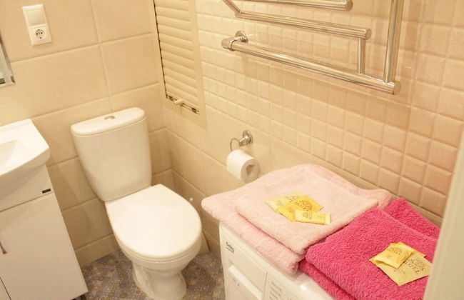 LOFT STUDIO Nosovihinskoe 25-3 - Photo 25