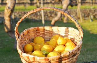 Solar das Bouças by Quantique - Foto 72