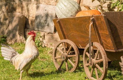 Apartment in a Wooded Area on Lake Faak - Foto 62