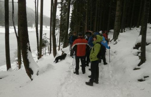 Ferienhaus Ederer - Foto 77