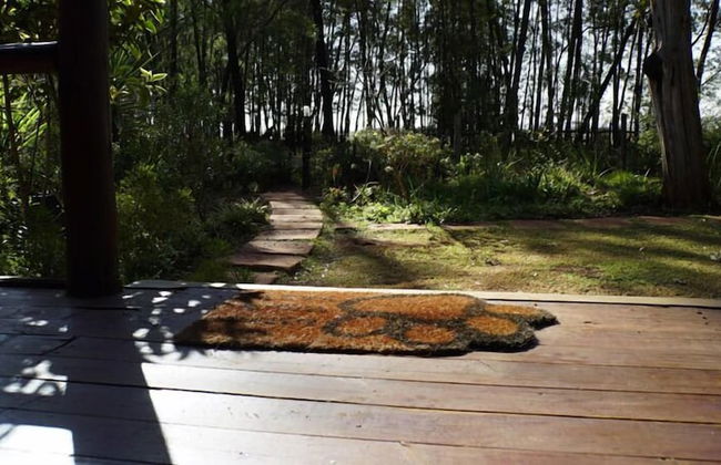 Woodland Gardens - Photo 44