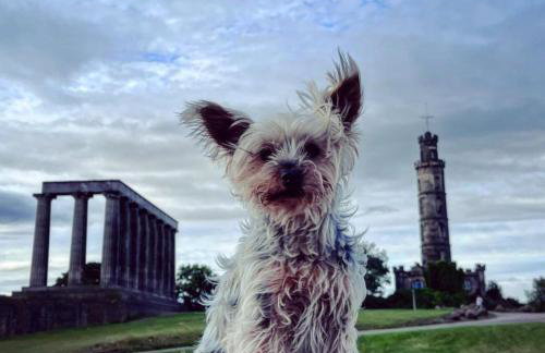 Garden Flat - Foto 41