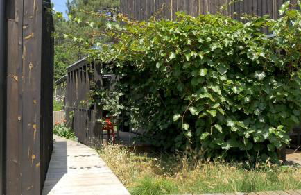 Eco-lodges Lacanau Moutchic Inn - 4 pers - Foto 28