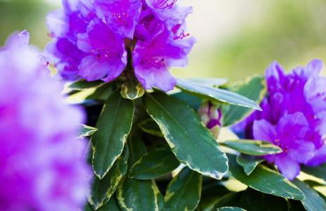 Dünenblick 02 - Foto 19