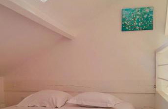 La Chouette Hulotte - Foto 12