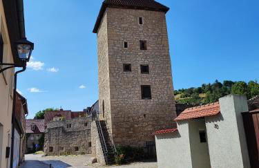 Weinberghaus - Wohnen im Weinberg in der Toskana des Nordens - Foto 50