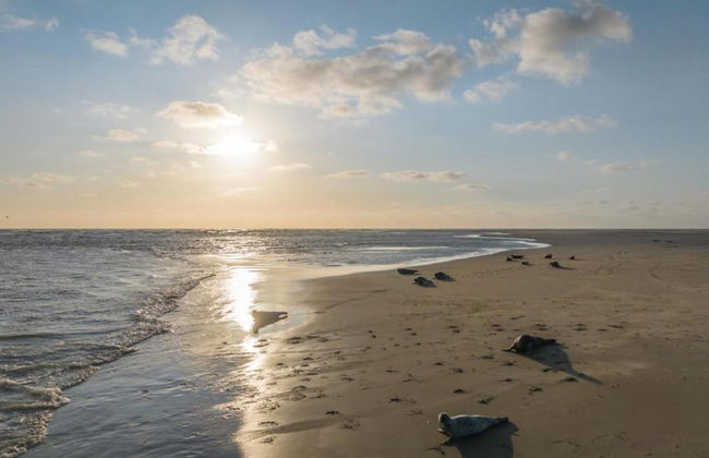 Spacious Holiday Home in Renesse near North Sea - Photo 22