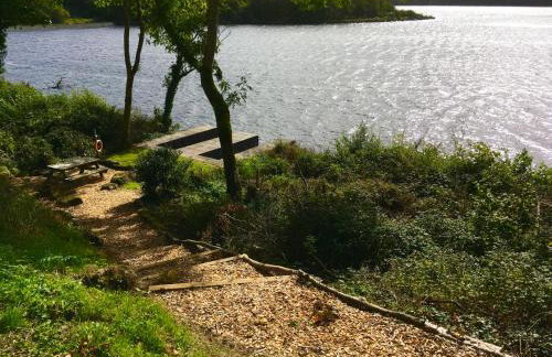 Shamrock Cottage - Foto 57